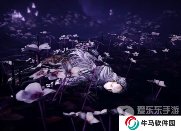 《艾尔登法环》DLC新boss或NPC剪影预览