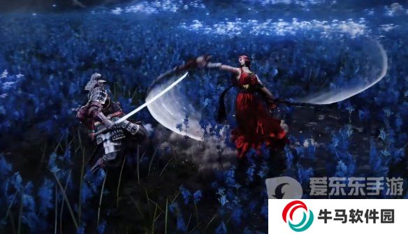 《艾尔登法环》DLC新boss或NPC剪影预览