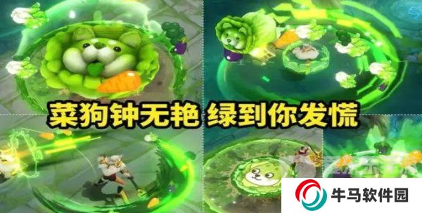 王者荣耀钟无艳菜狗皮肤怎么获得 钟无艳菜狗皮肤价格一览