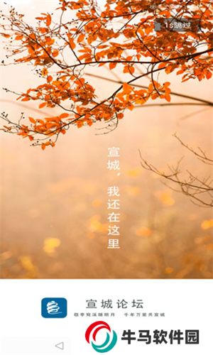 宣城论坛
