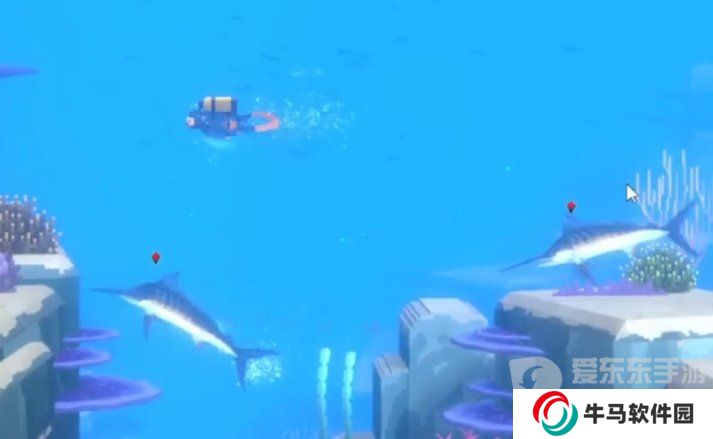 《潜水员戴夫》四鳍旗鱼分布在哪？《潜水员戴夫》旗鱼位置在哪？