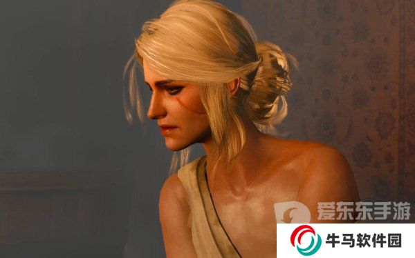 巫师3女性NPC换衣代码 控制台代码