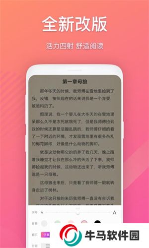 布偶免费小说