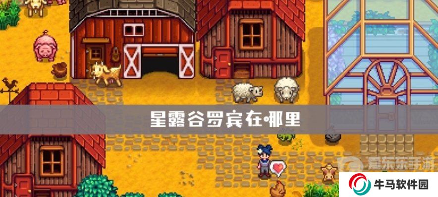星露谷物语木匠在哪里 星露谷物语木匠罗宾行程